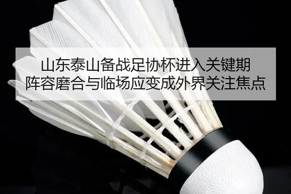 山东泰山备战足协杯进入关键期 阵容磨合与临场应变成外界关注焦点 | JIUYOU